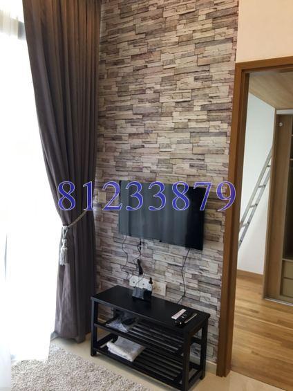 Spottiswoode Suites (D2), Apartment #168552712